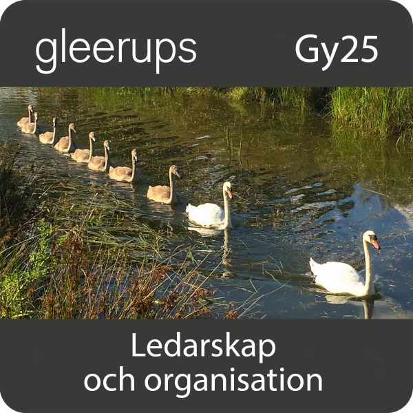 Ledarskap och organisation, digitalt, lärare, 12 mån, Gy25