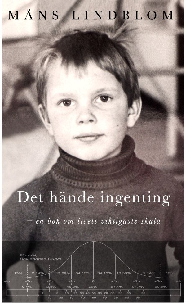 Det hände ingenting : en bok om livets viktigaste skala