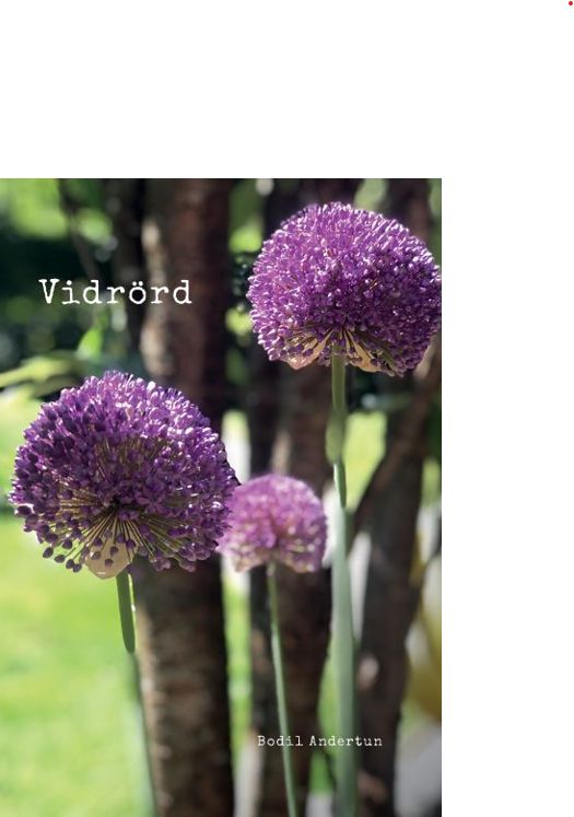 Vidrörd