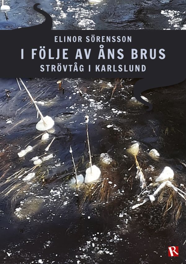 I följe av åns brus : strövtåg i Karlslund