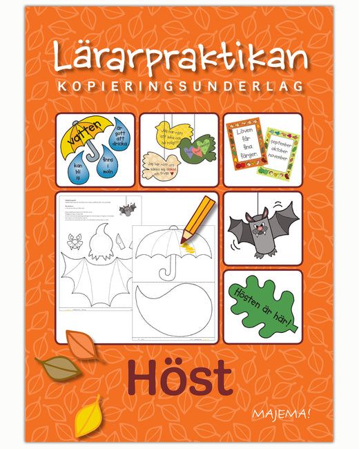Lärarpraktikan höst FK-åk 3