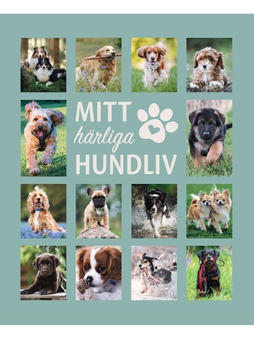 Mitt härliga hundliv