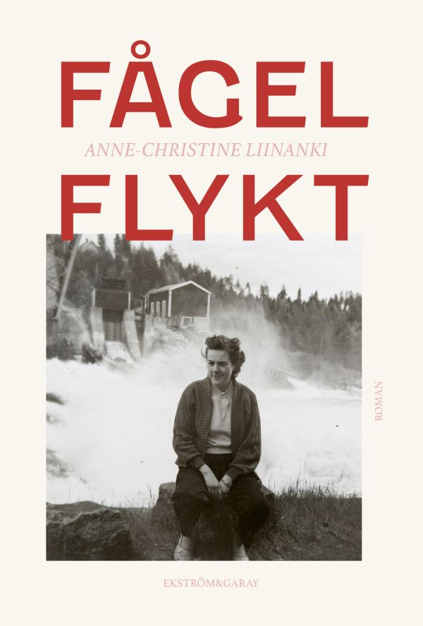 Fågelflykt