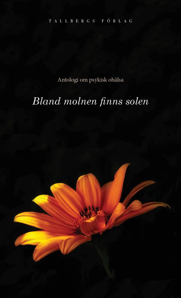 Bland molnen finns solen