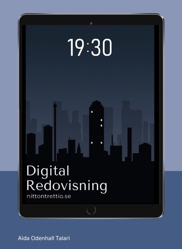 Digital Redovisning (bok + digital produkt)