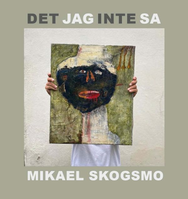 Det jag inte sa